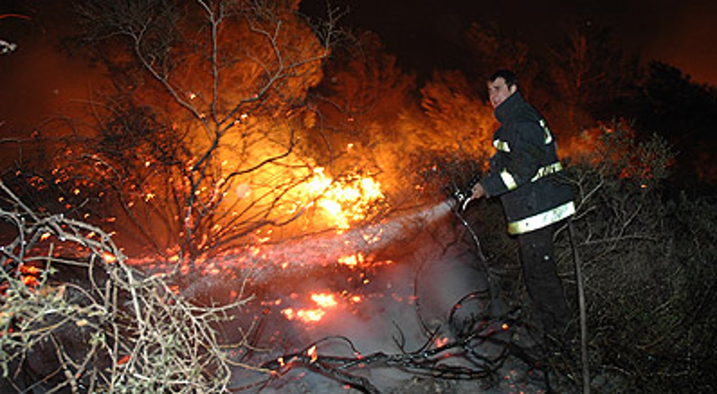אילוסטרציה,