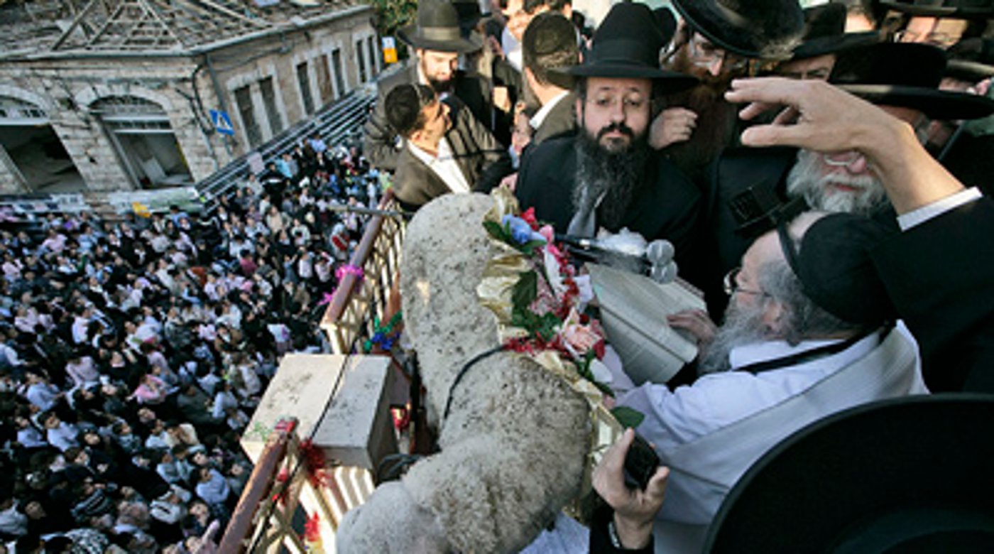 פטר חמור בירושלים.