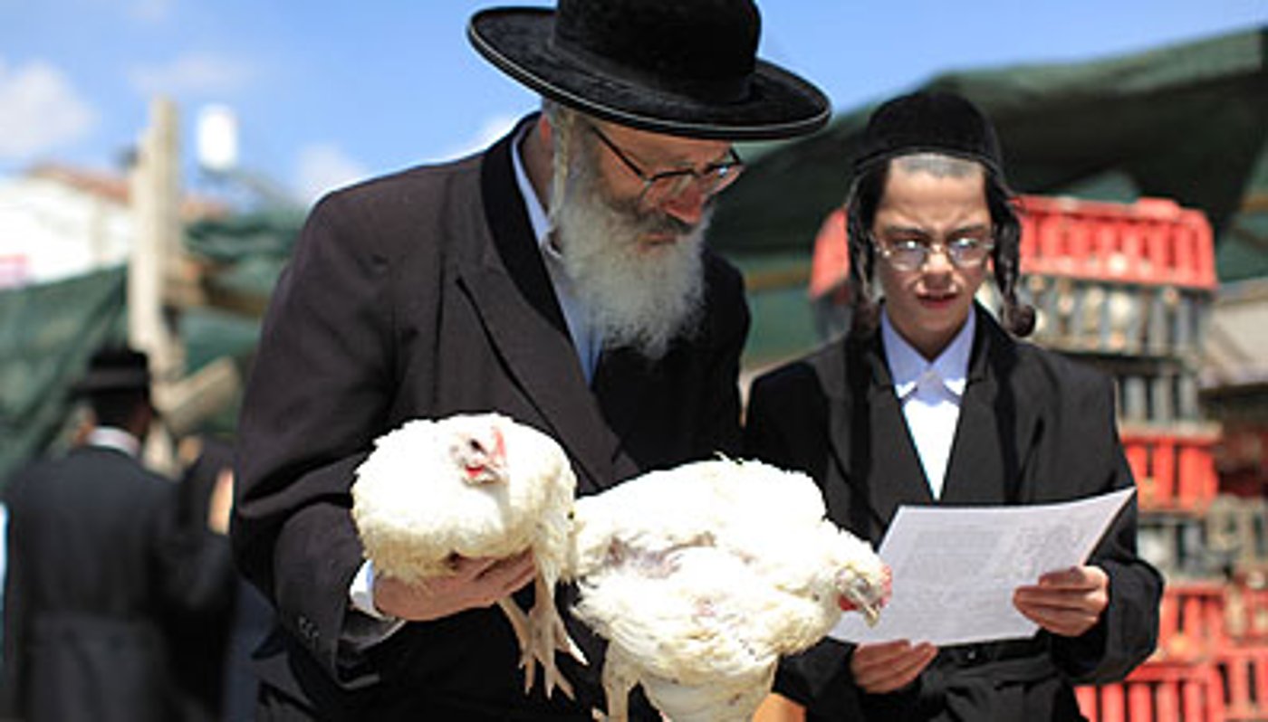 כפרות, הבוקר במאה שערים.