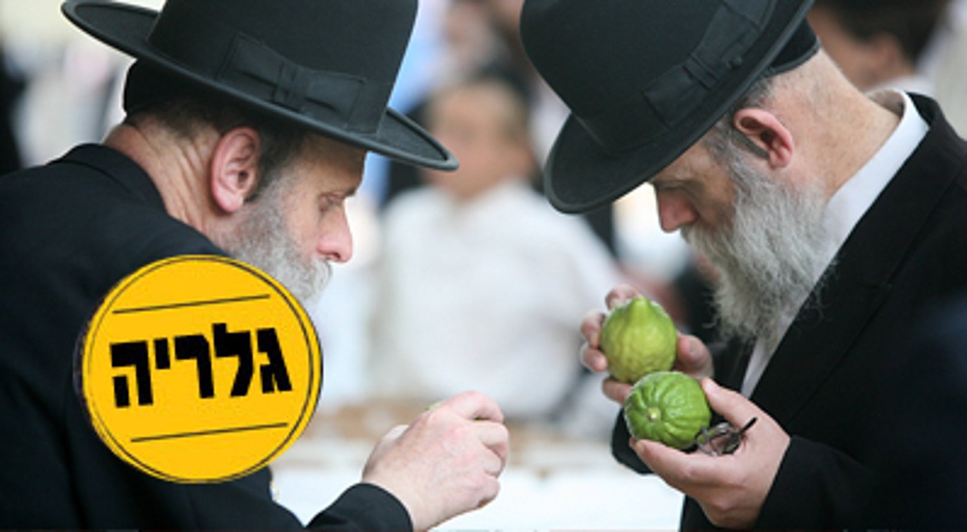 בני-ברק, השבוע