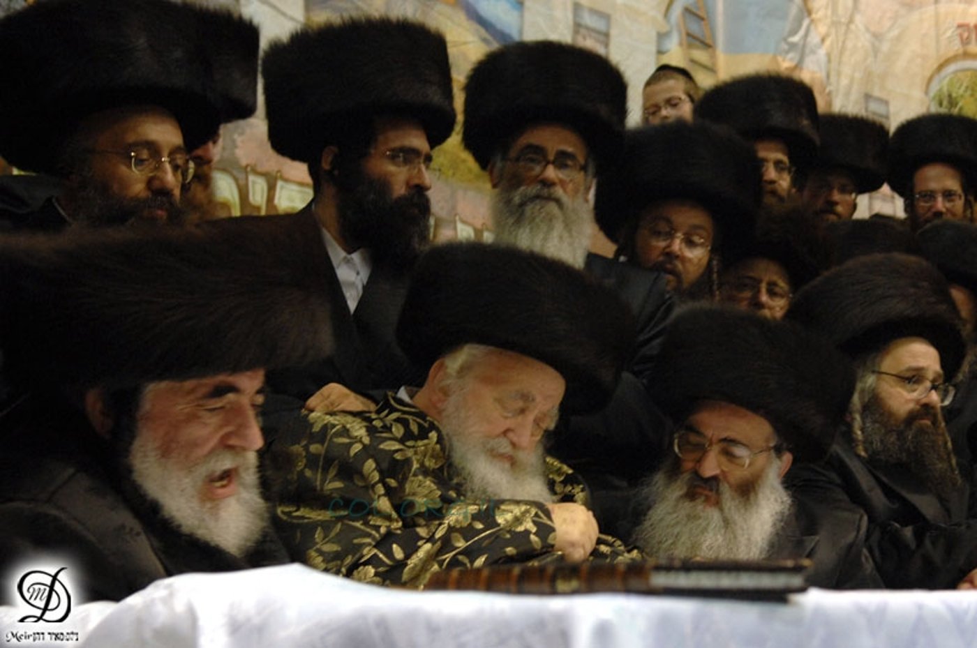 ובכן מה נהדר: וידאו מיוחד מויז´ניץ