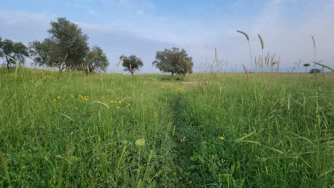 שבילי חירבת כפר רות