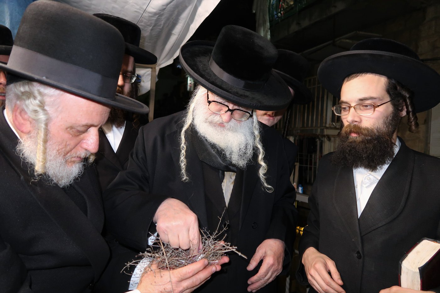 האדמו''ר ממשכנות הרועים בשילוח הקן