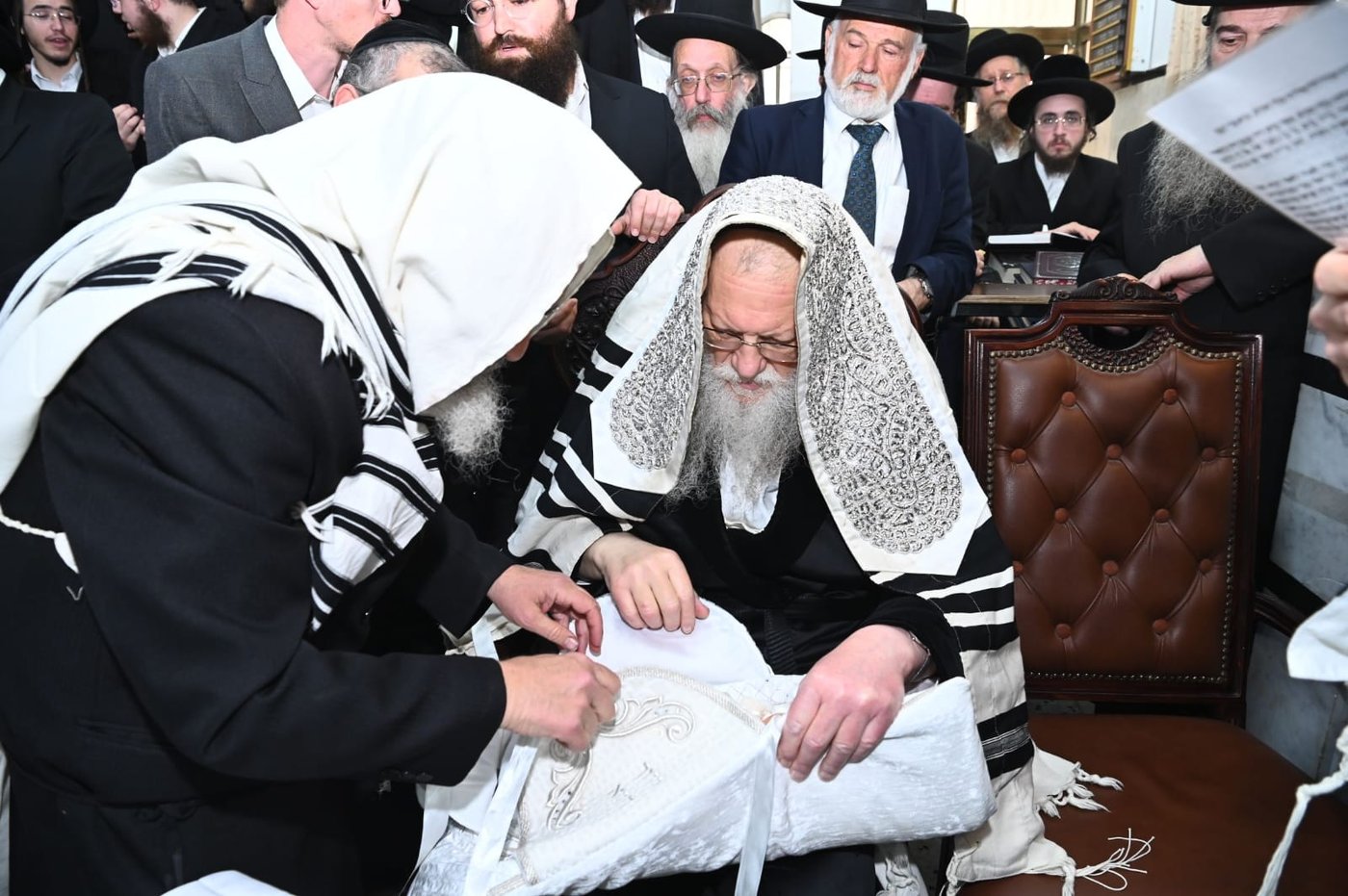 ברית מודז'יץ לעלוב