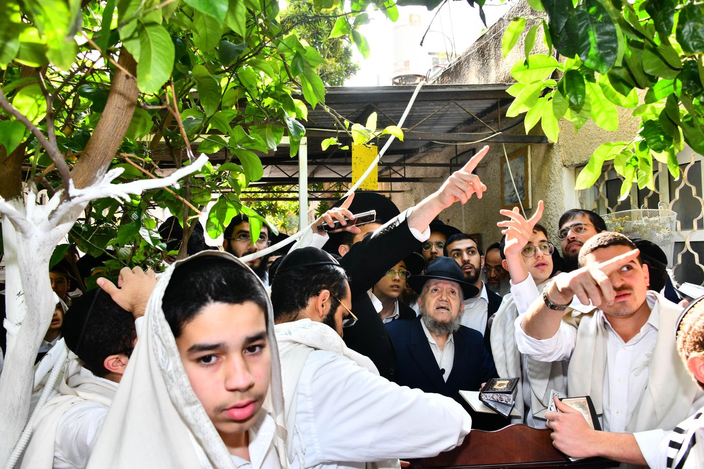 הגר"מ מאזוז בברכת האילנות