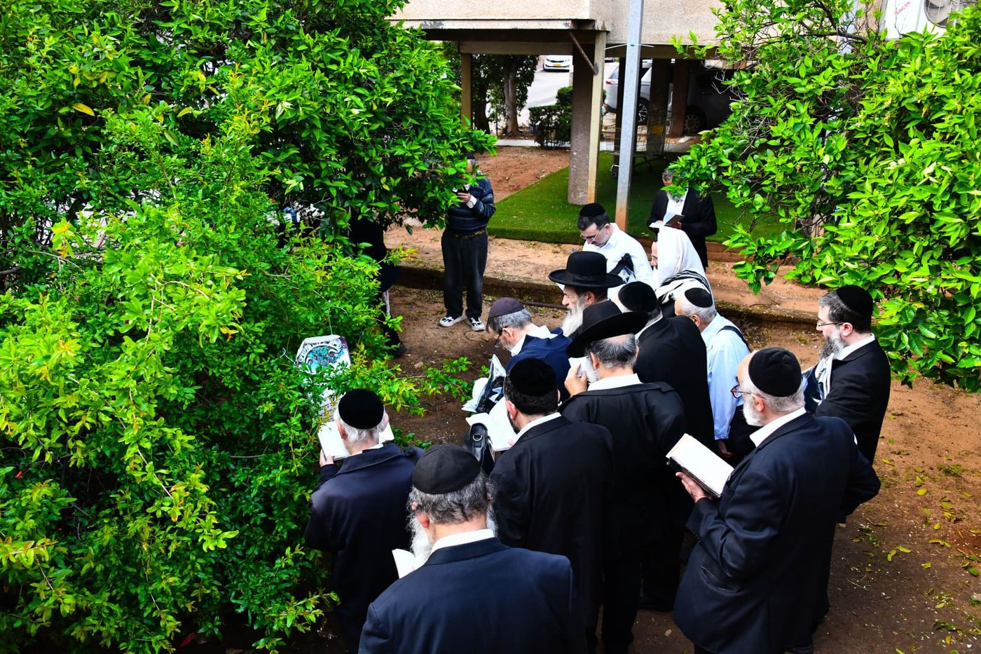 הגר"נ בן שמעון