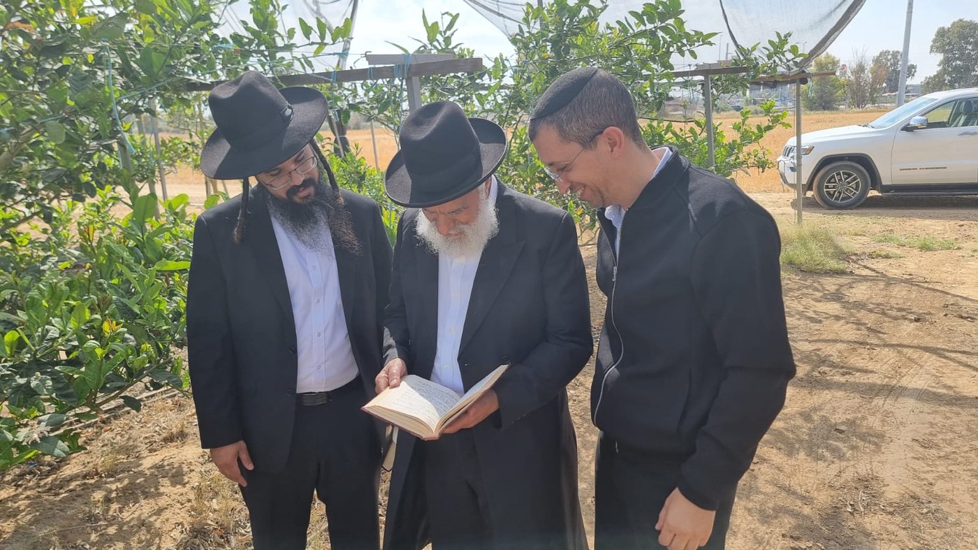 הגר"ש מחפוד בברכת האילנות