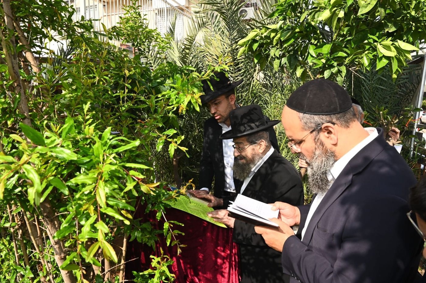 רבי מסעוד בן שמעון