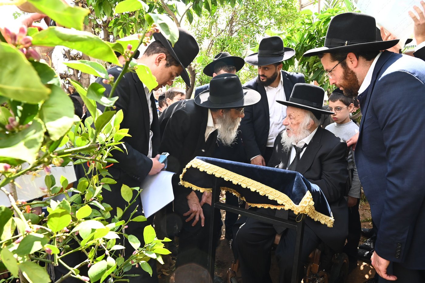 הגרב"ד פוברסקי בברכת האילנות