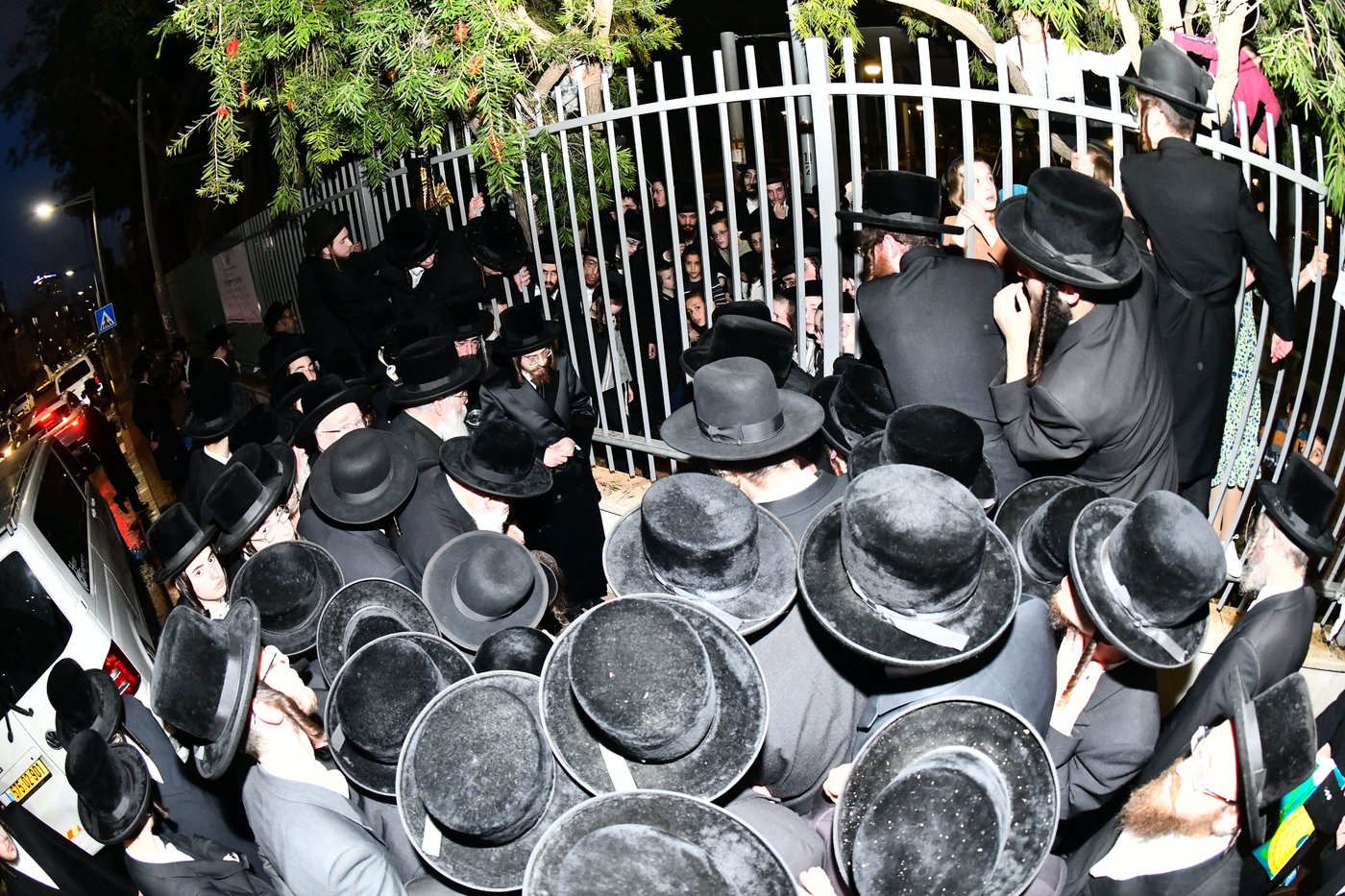 האדמו"ר מסאדיגורה בשאיבת מים שלנו 