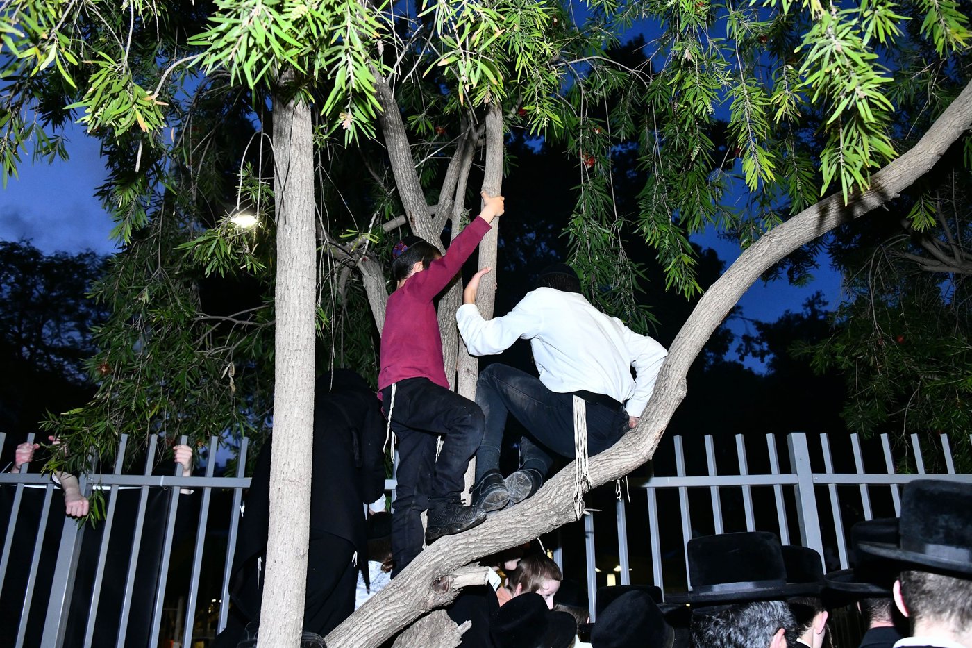 האדמו"ר מסאדיגורה בשאיבת מים שלנו 