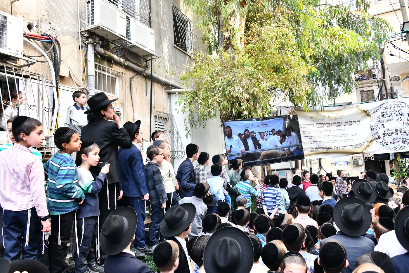 הקרבת קורבן פסח בבני ברק