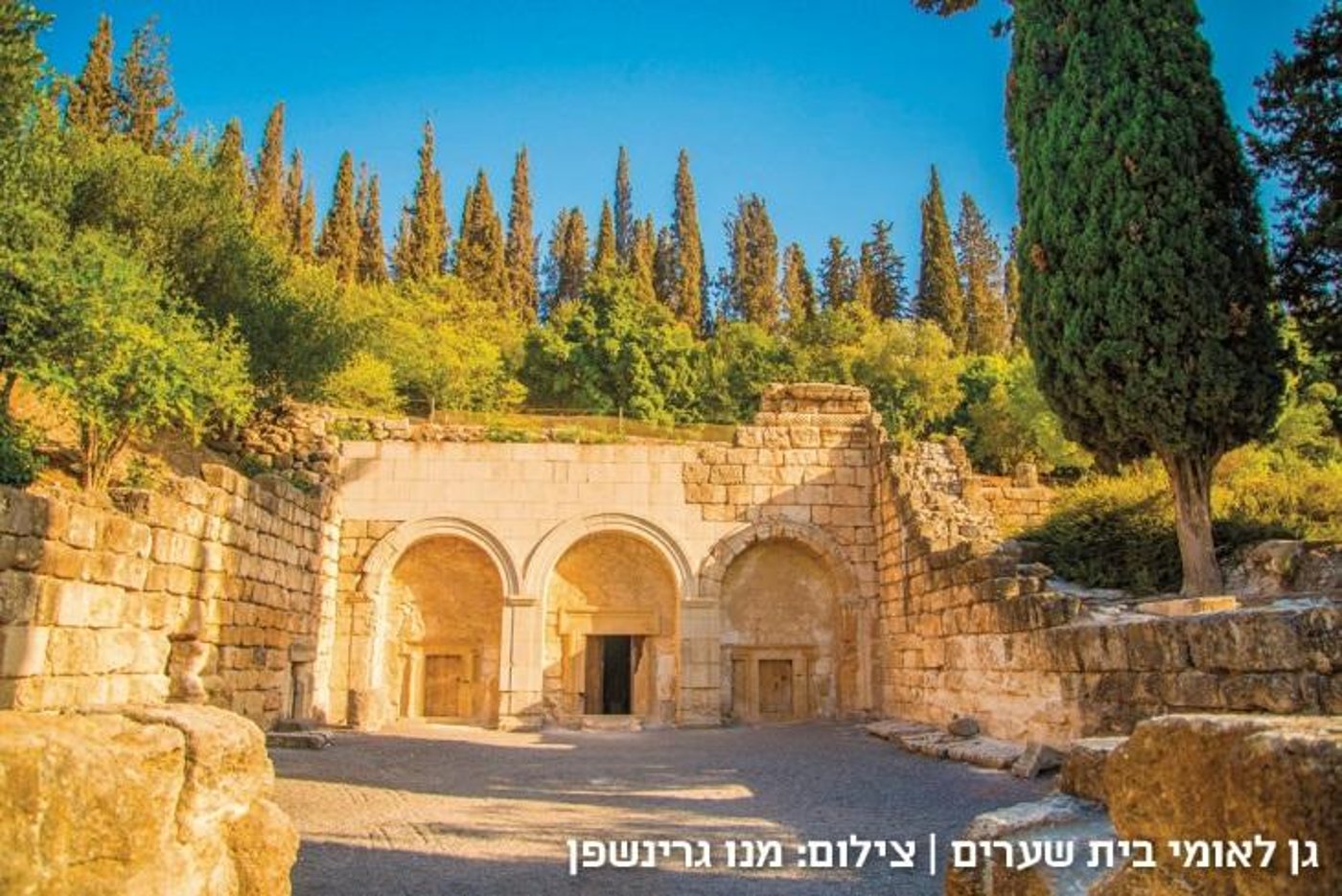 חווית חג משפחתית בלתי נשכחת - 'צפונה ונגבה'