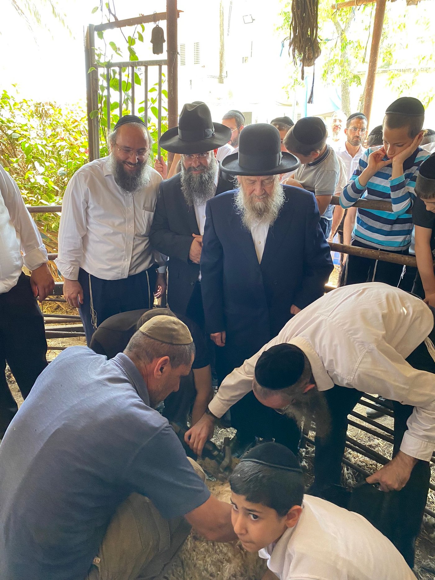 הגר"ד בצרי במצוות 'ראשית הגז'
