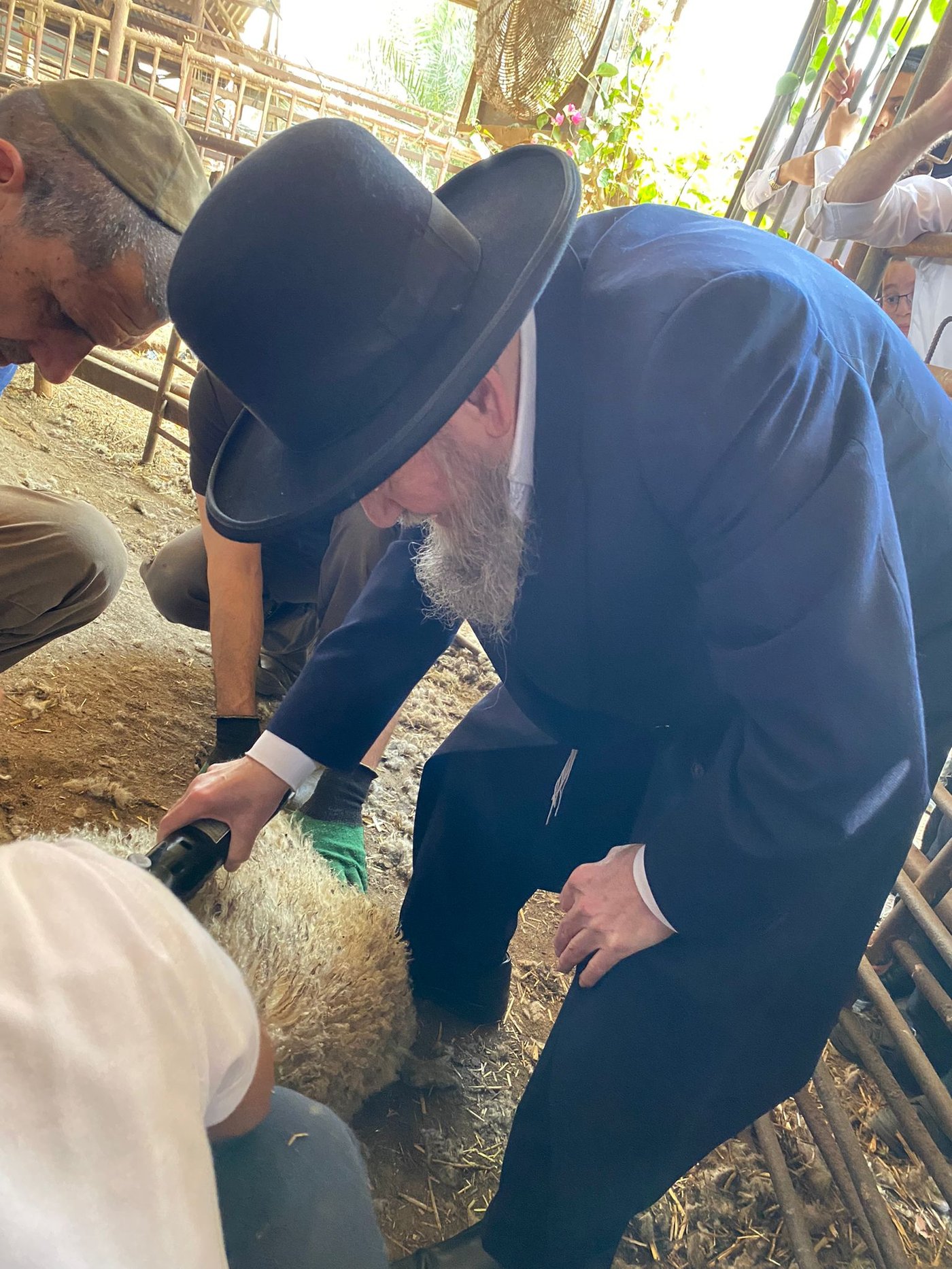 הגר"ד בצרי במצוות 'ראשית הגז'