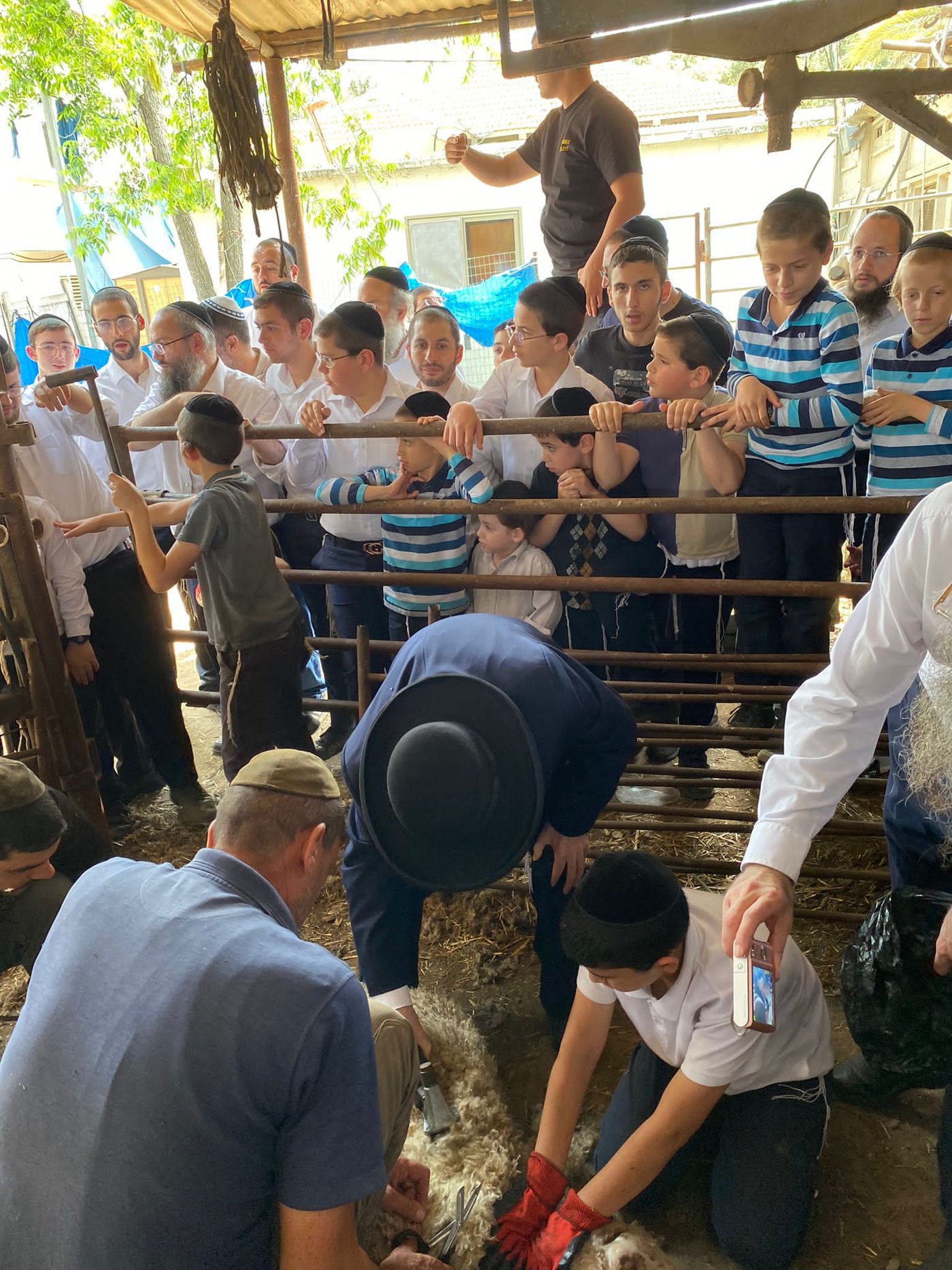 הגר"ד בצרי במצוות 'ראשית הגז'