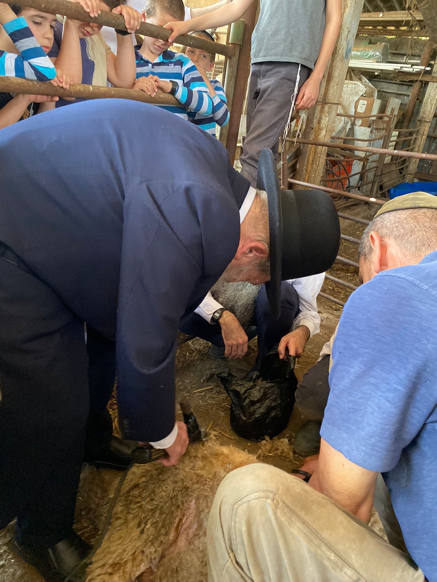 הגר"ד בצרי במצוות 'ראשית הגז'