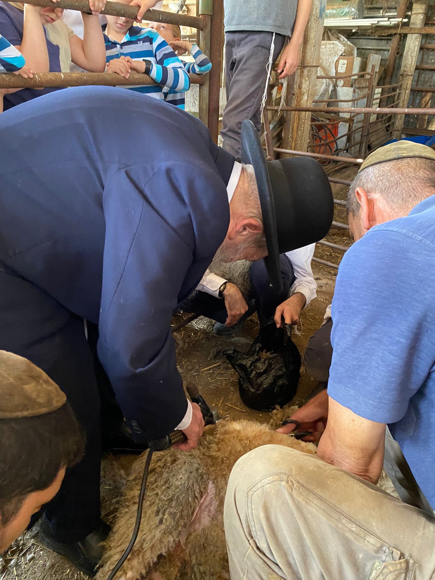 הגר"ד בצרי במצוות 'ראשית הגז'