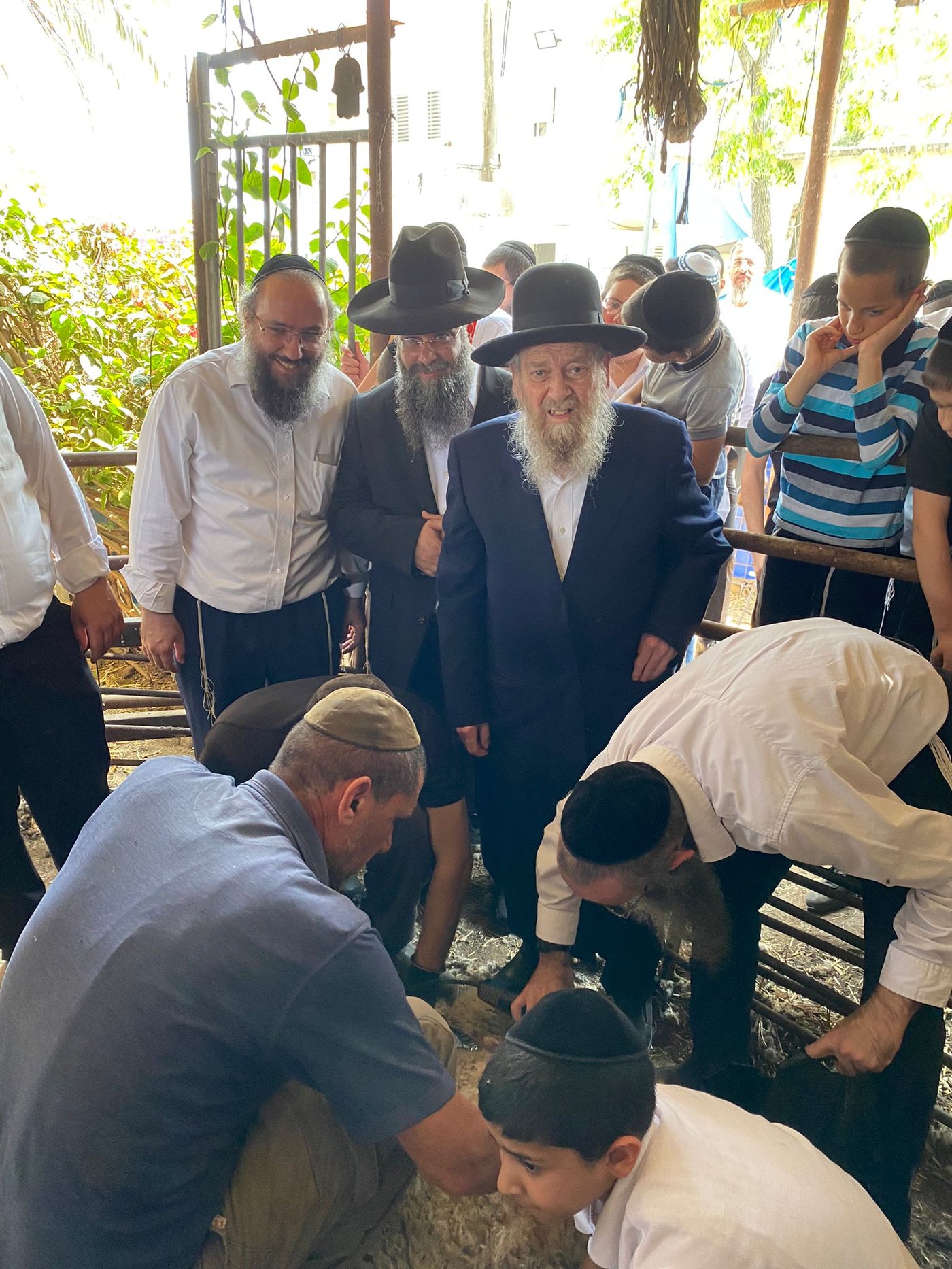 הגר"ד בצרי במצוות 'ראשית הגז'