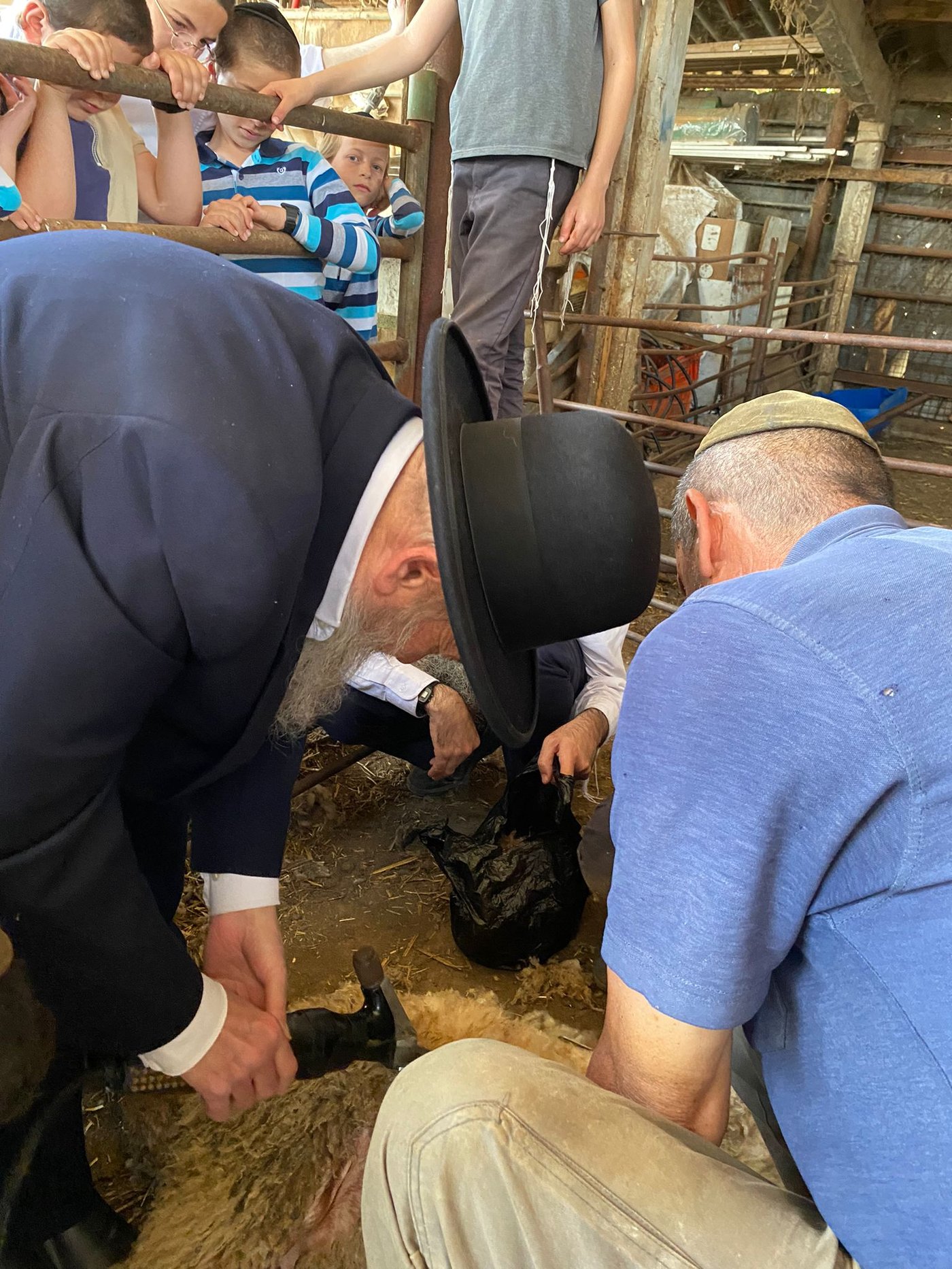 הגר"ד בצרי במצוות 'ראשית הגז'