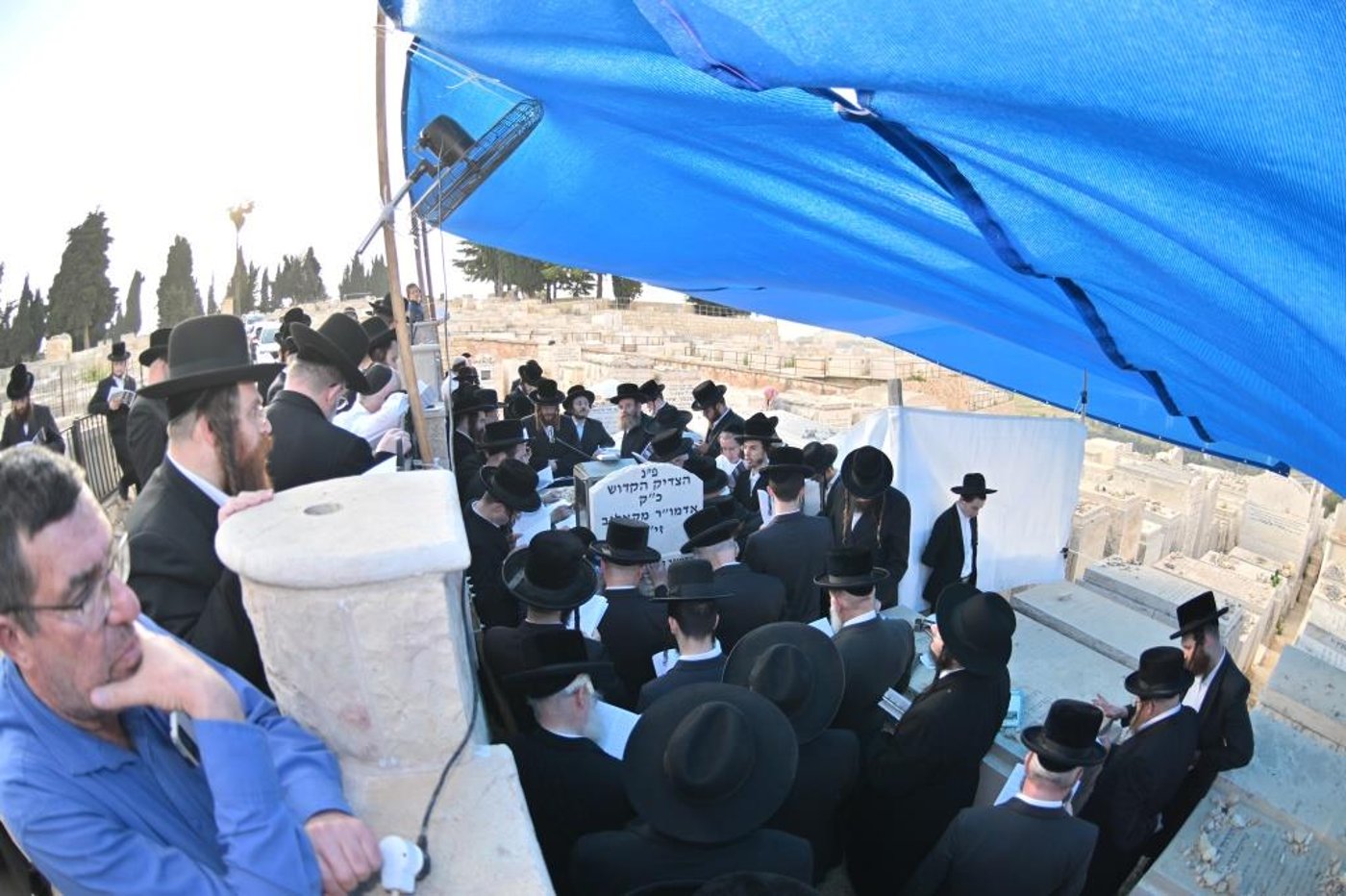 טיש הילולא בקאליב
