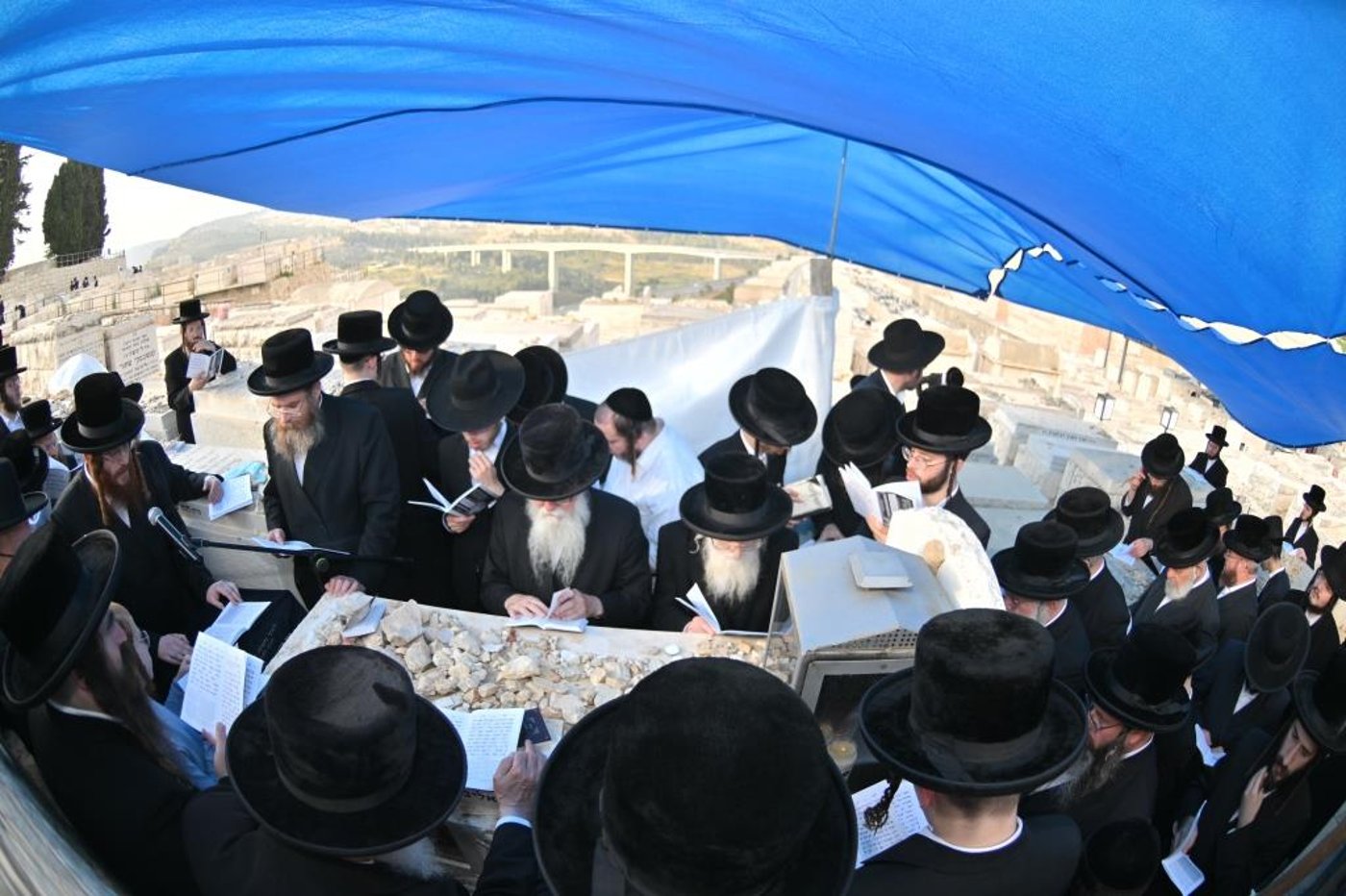 טיש הילולא בקאליב