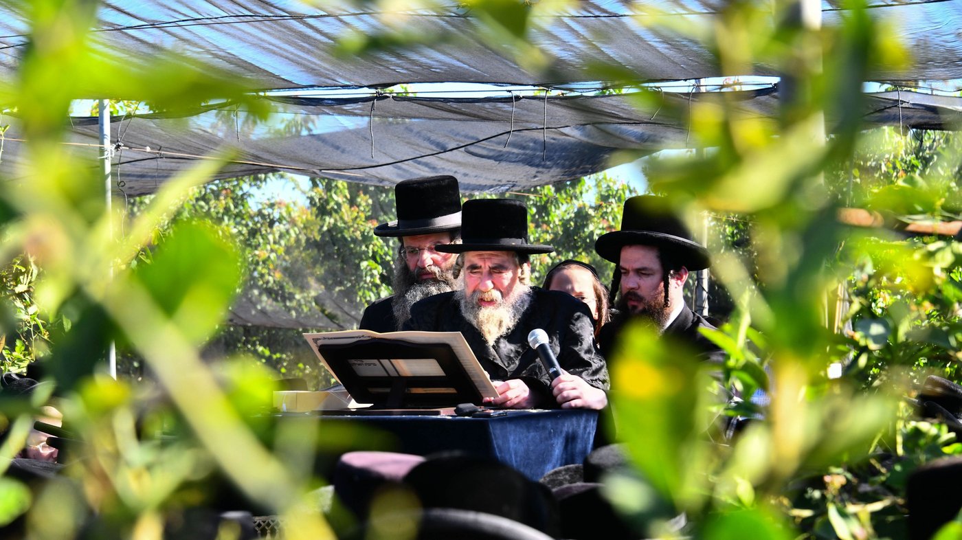 ברכת האילנות רחמסטריווקא