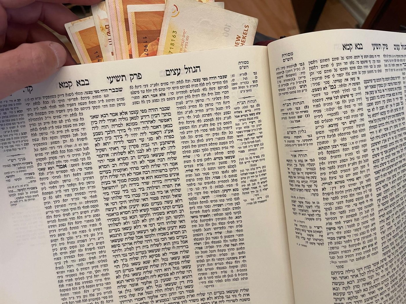 ההוצאה החדשה של פרק הגוזל עצים בחסות מעושר השקות