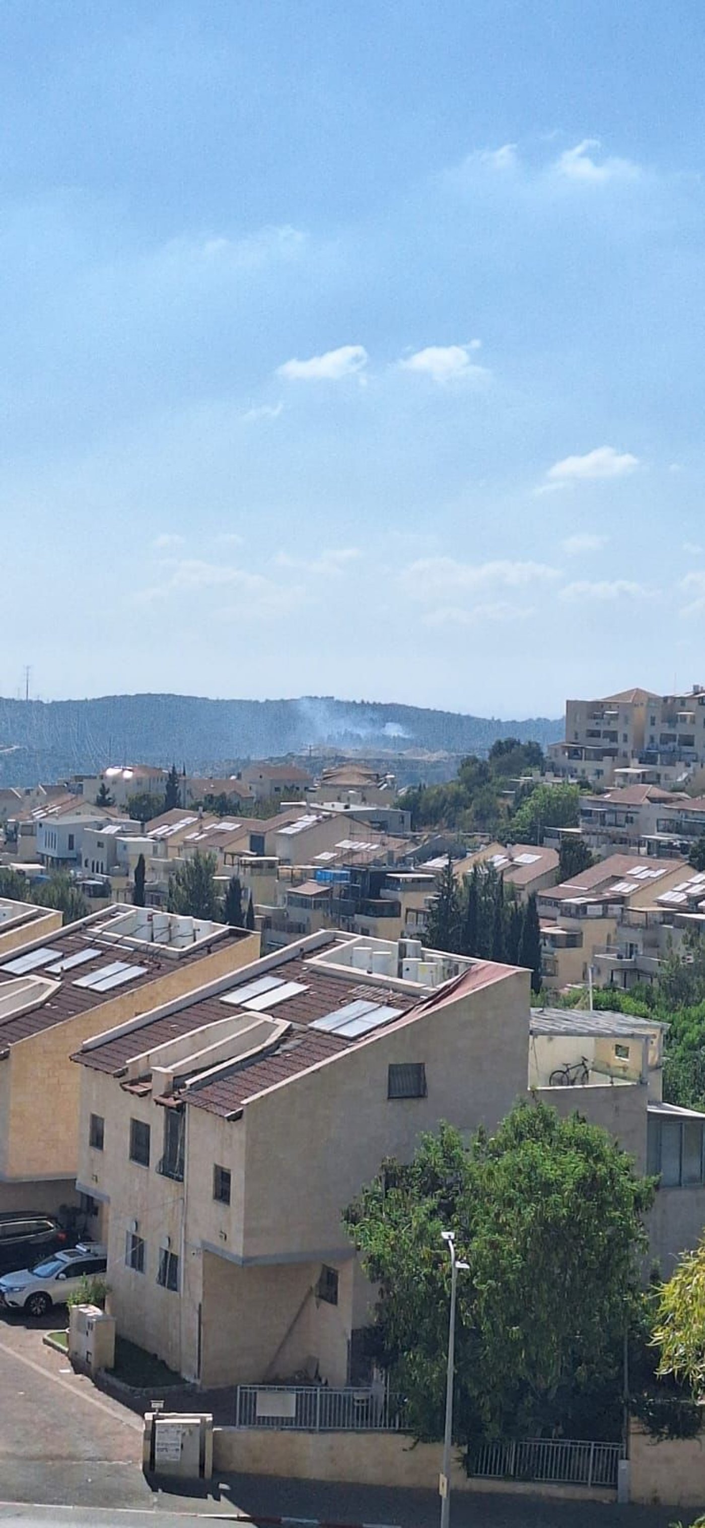 השריפה ביער ישעי סמוך לבית שמש