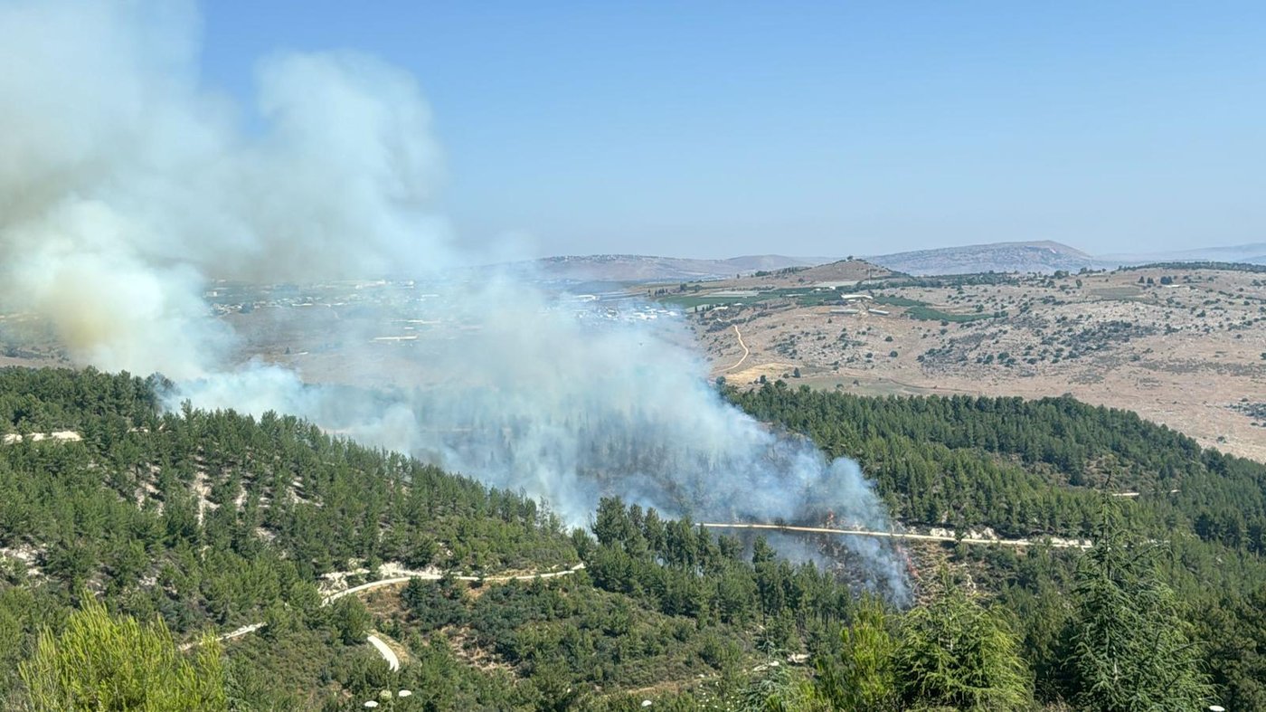 השריפה ביער ביריה