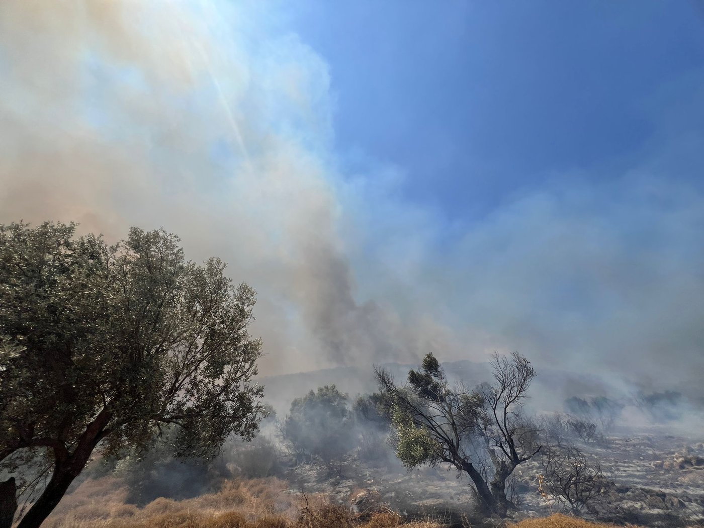 אזעקות במירון ובצפת | חייל ו-2 אזרחים אמריקנים נפצעו