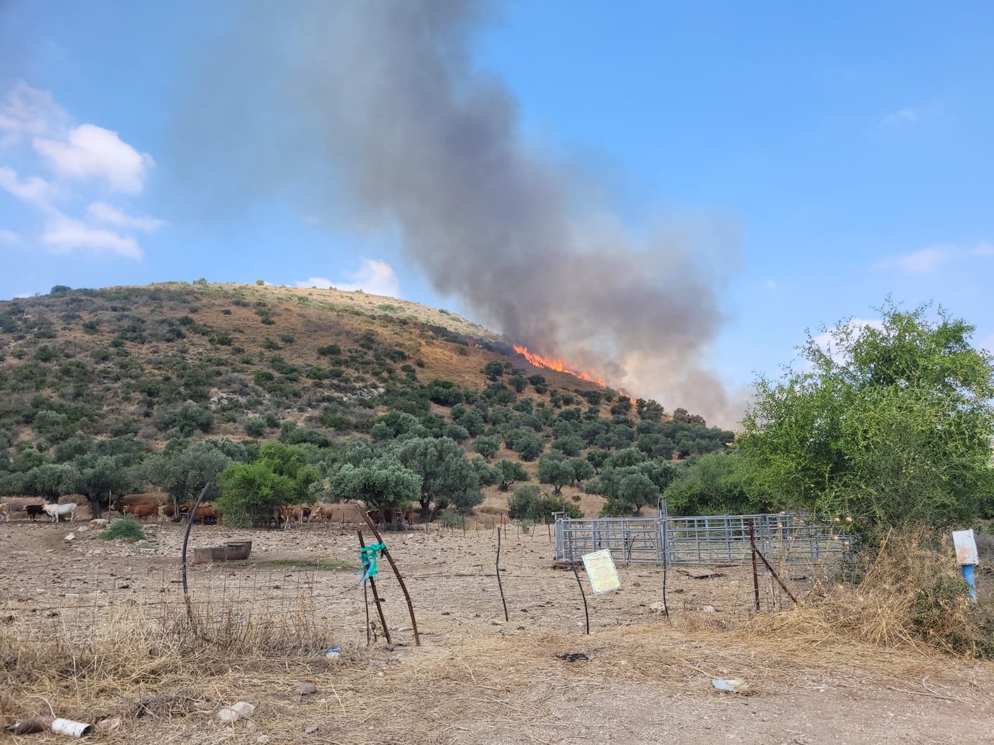 השריפה בשמורת טבע ארבל