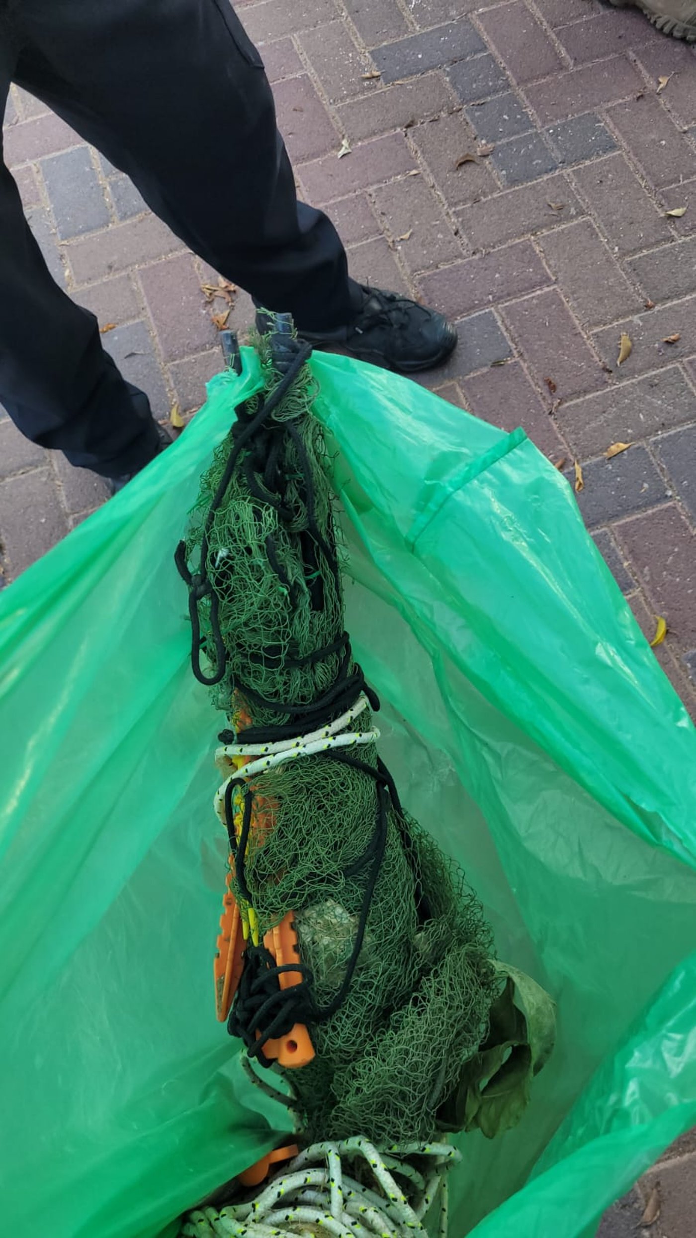 צד 8 ציפורים מזן "חוחית" למטרות סחר - ועוכב לחקירה