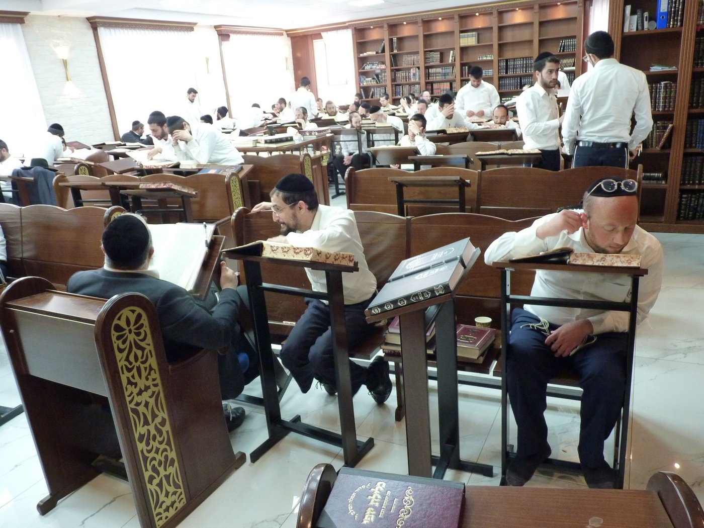 עולם התורה בדרום בשגשוג