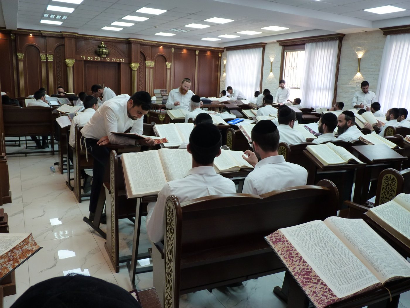 עולם התורה בדרום בשגשוג