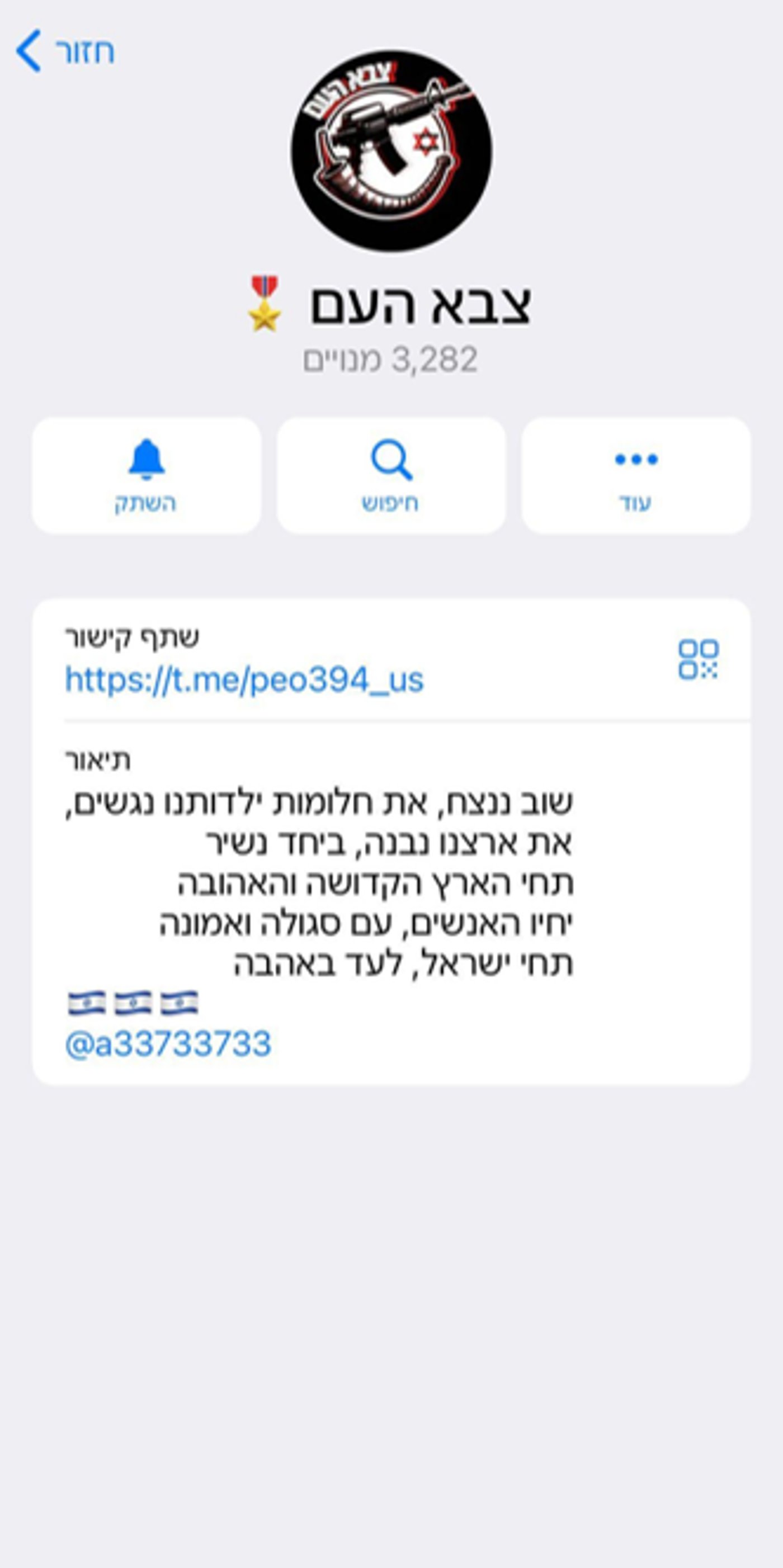 החשבונות הפיקטיבים