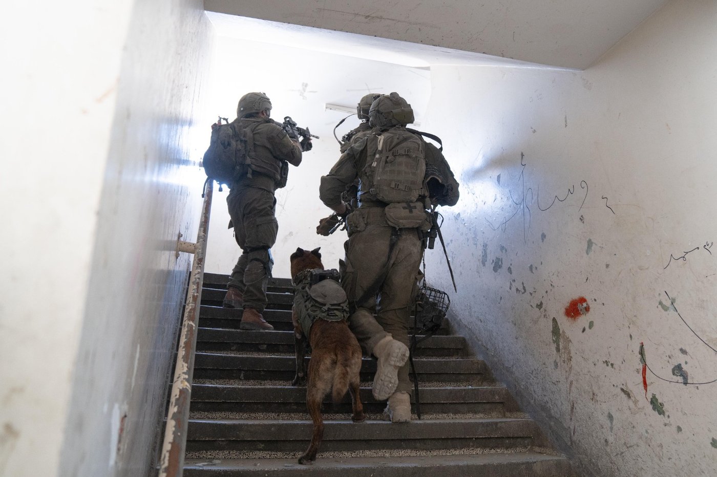 מחבלים חוסלו, משגרים הושמדו | תיעוד מלחימת צה"ל ברצועה