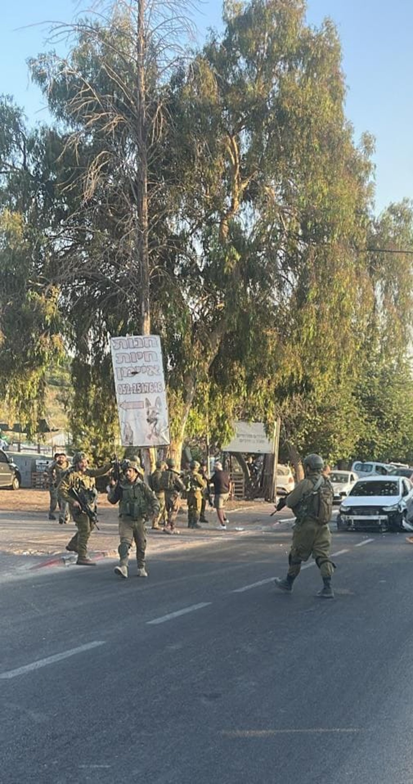 זירת פיגוע הדריסה באריאל