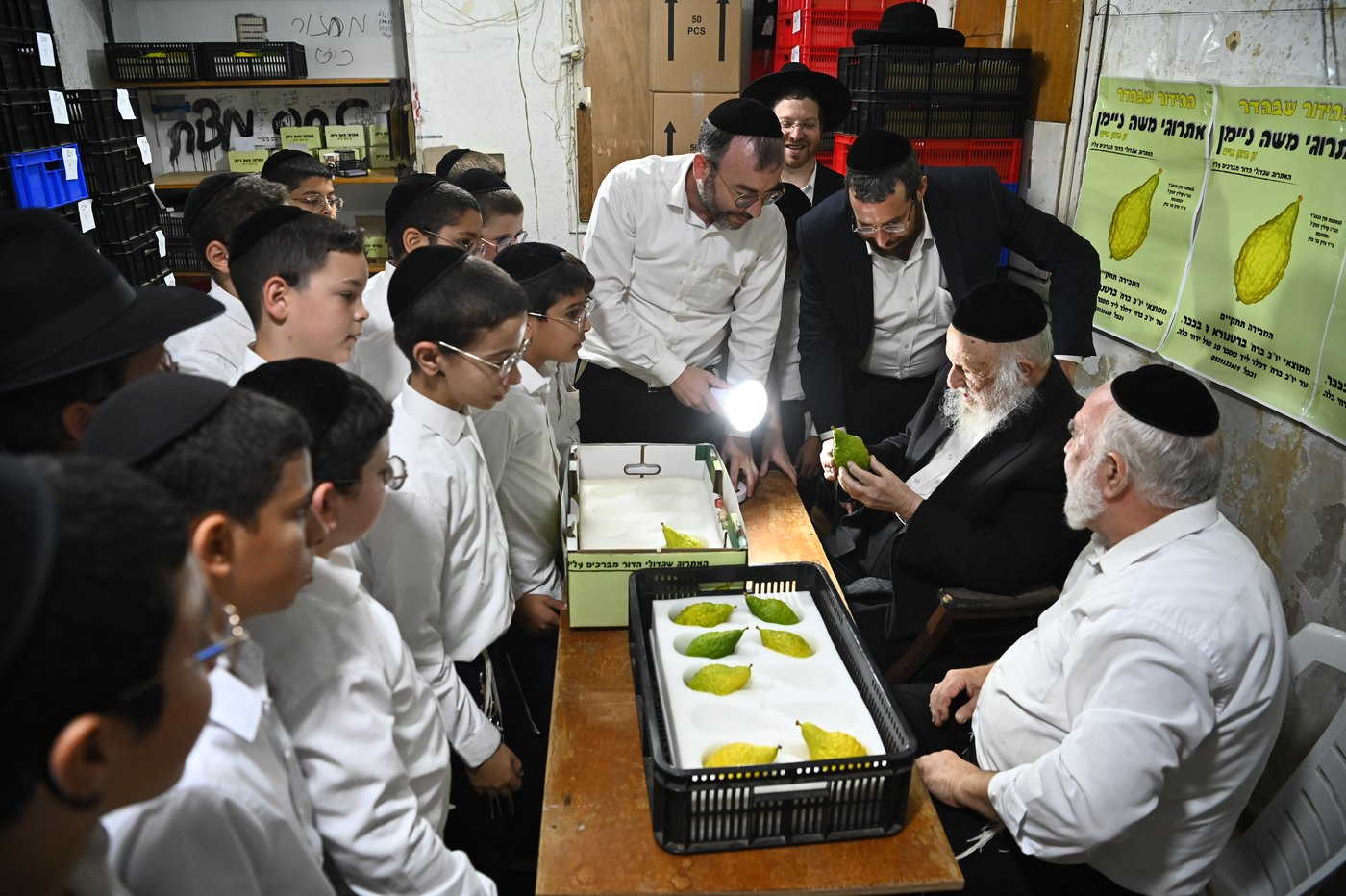 הגרב"ד פוברסקי בבדיקת אתרוגים לחג הסוכות 