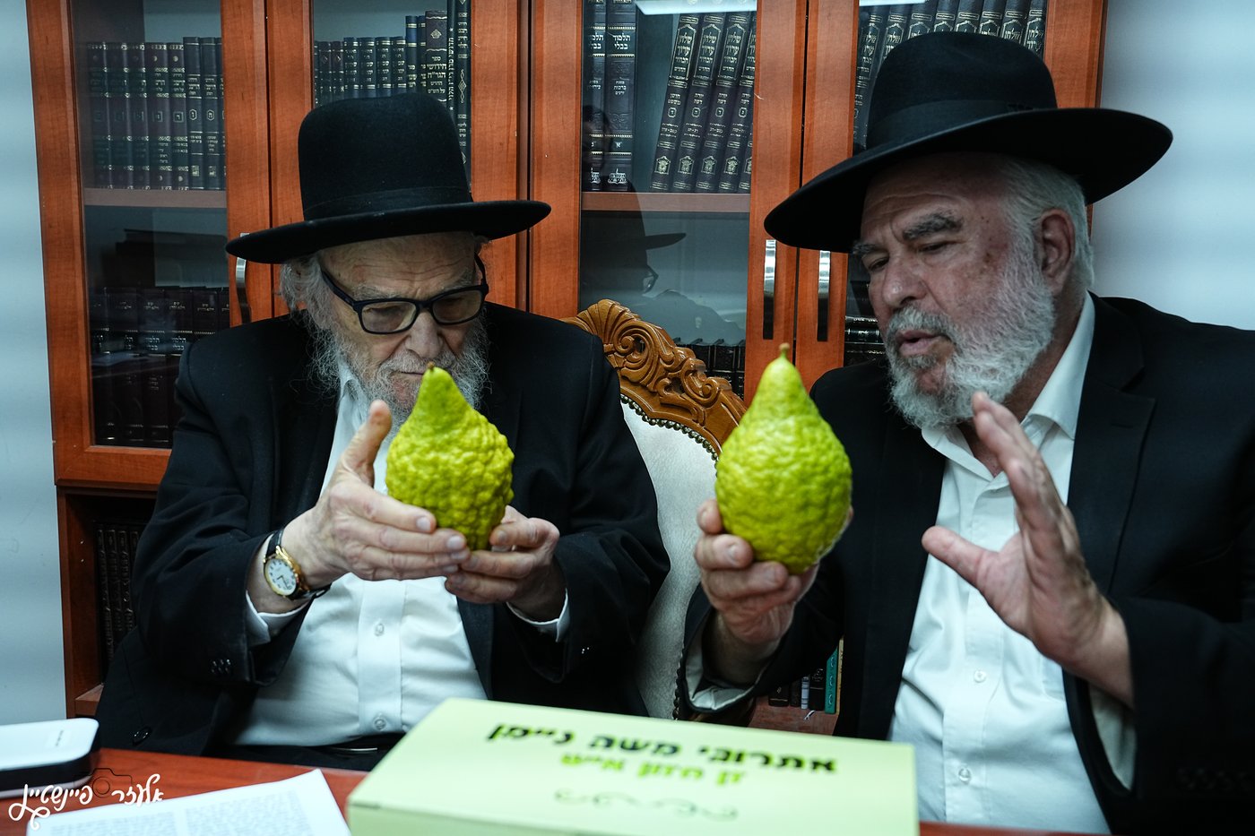 הגרמ"ה הירש בבדיקת אתרוגים