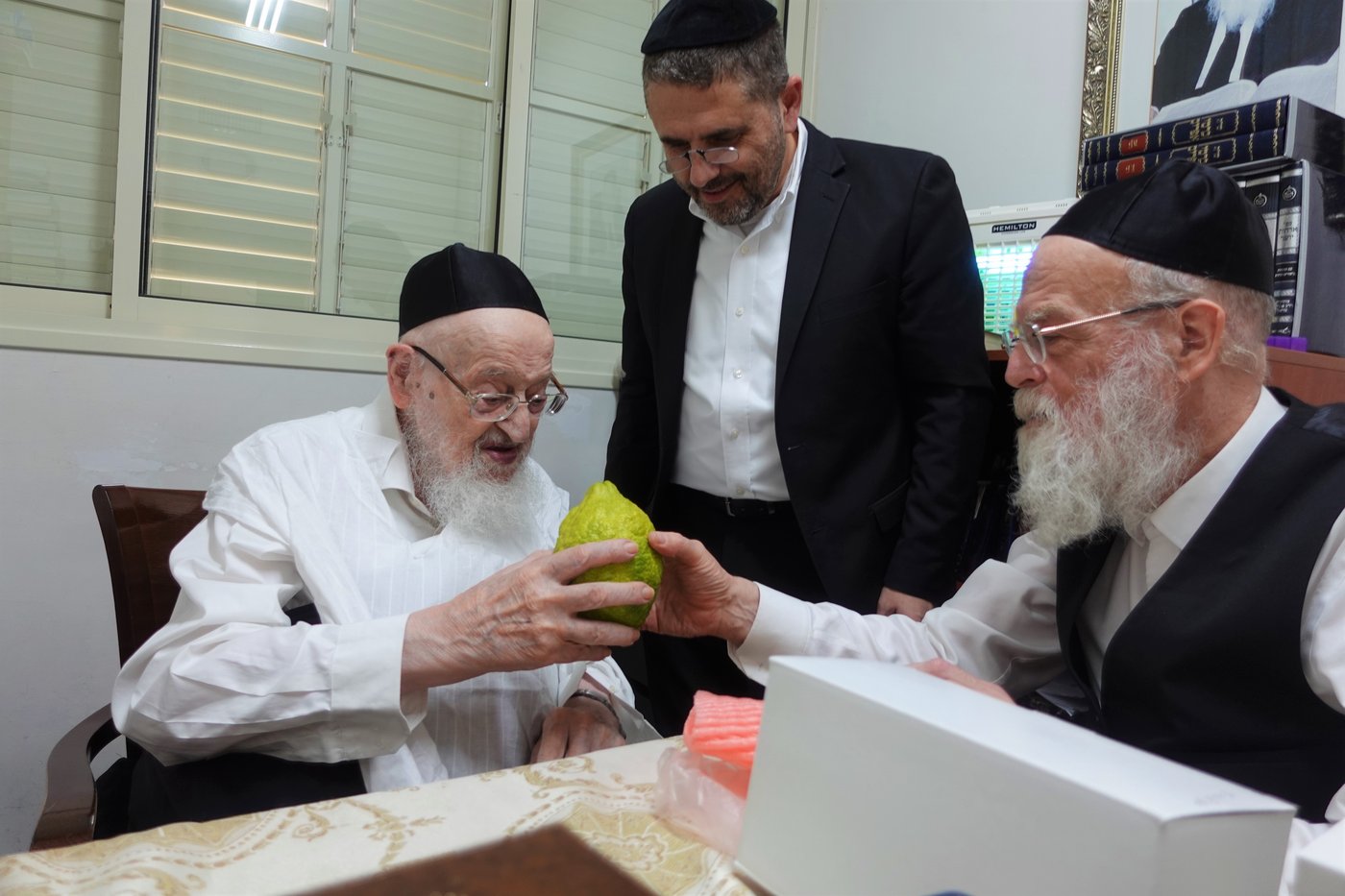 הגאון רבי מאיר צבי ברגמן בבדיקת אתרוגים לחג הסוכות 