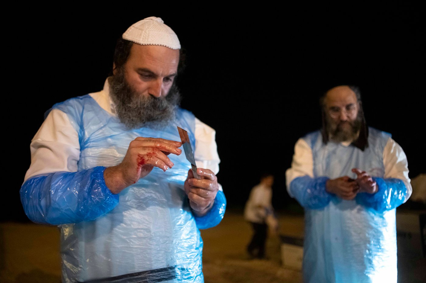 שוחט בבדיקת הסכין לשחיטת תרנגולי הכפרות