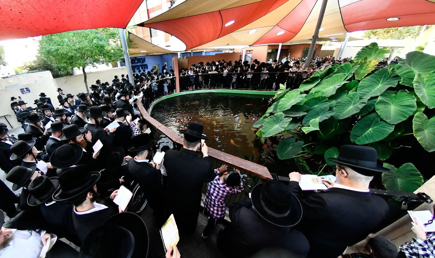 האדמו"ר ממודז'יץ בתשליך