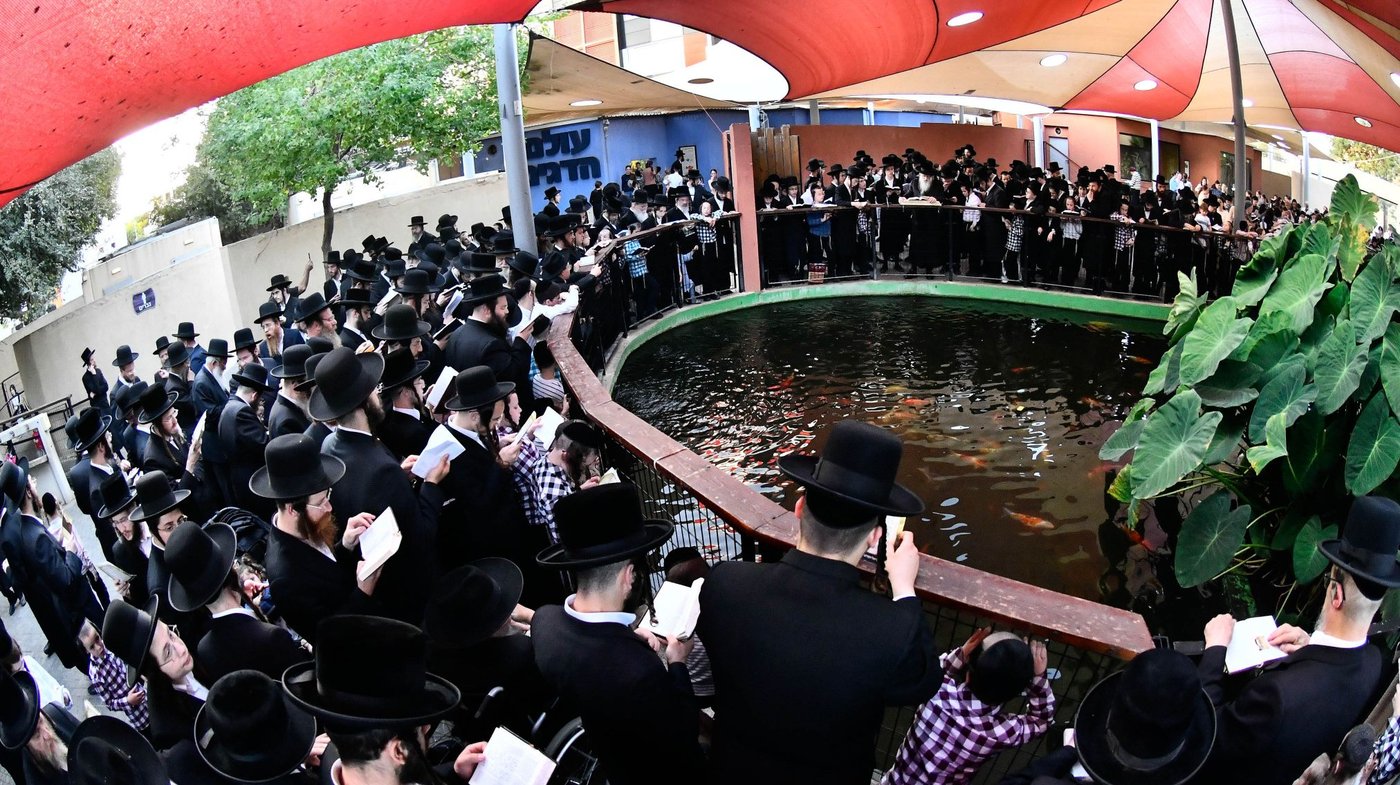 האדמו"ר ממודז'יץ בתשליך