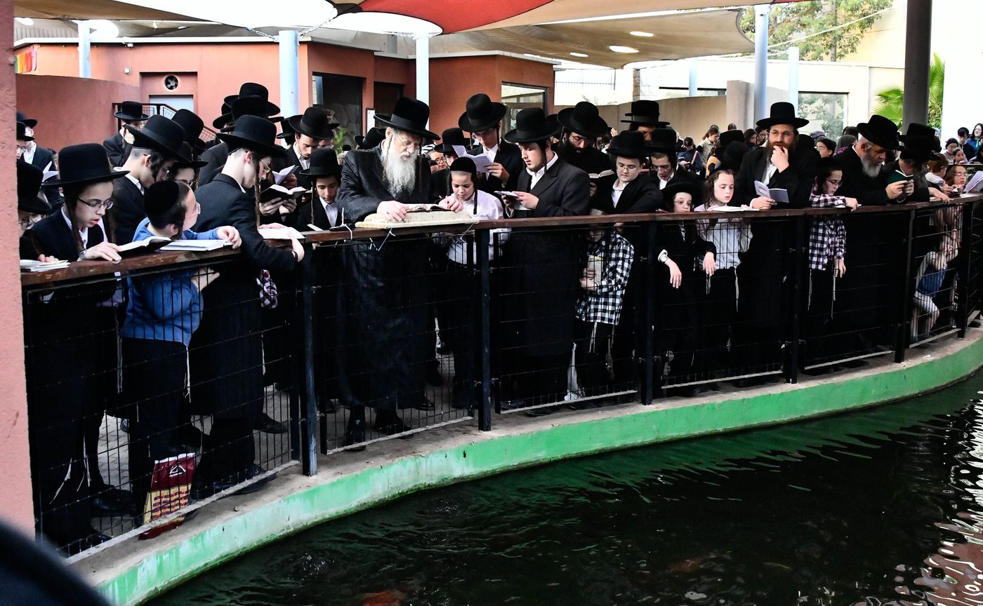 האדמו"ר ממודז'יץ בתשליך