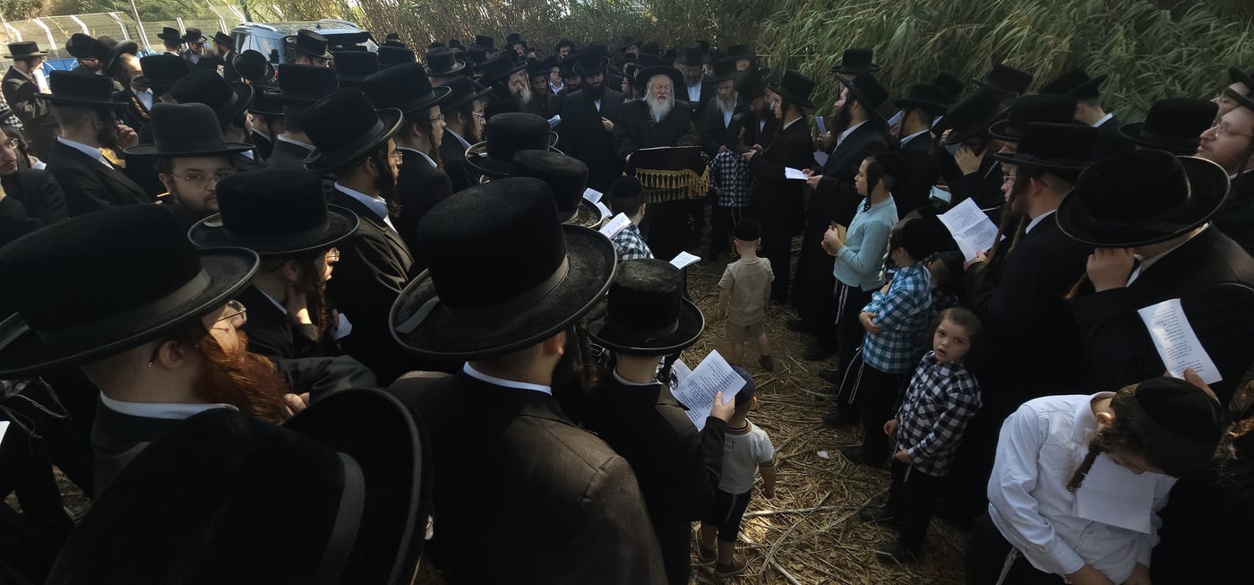 האדמו"ר מפרמישלן בתשליך