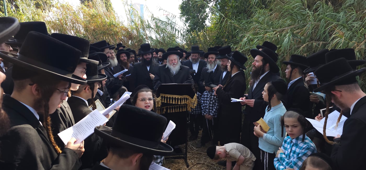 האדמו"ר מפרמישלן בתשליך