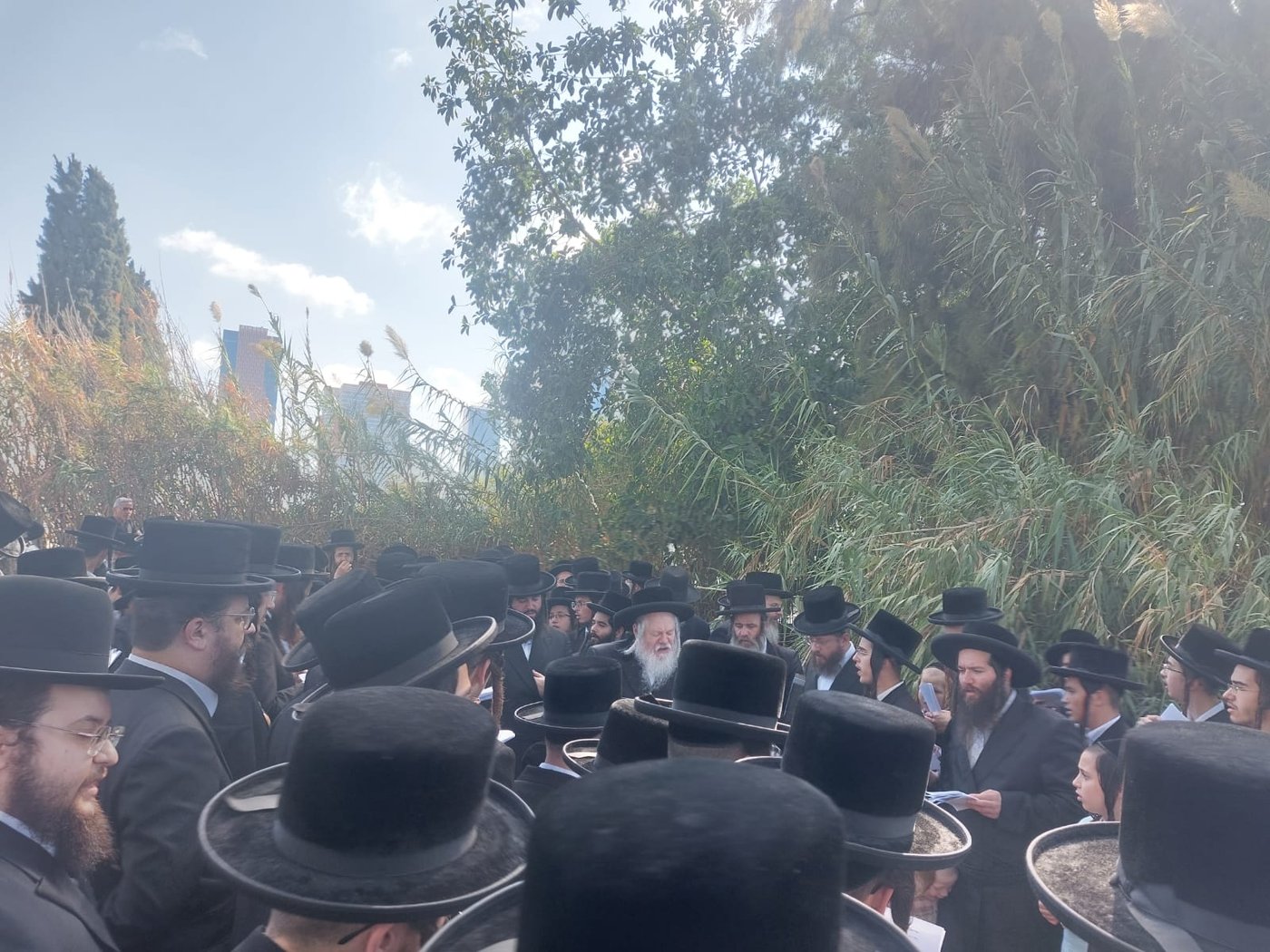 האדמו"ר מפרמישלן בתשליך