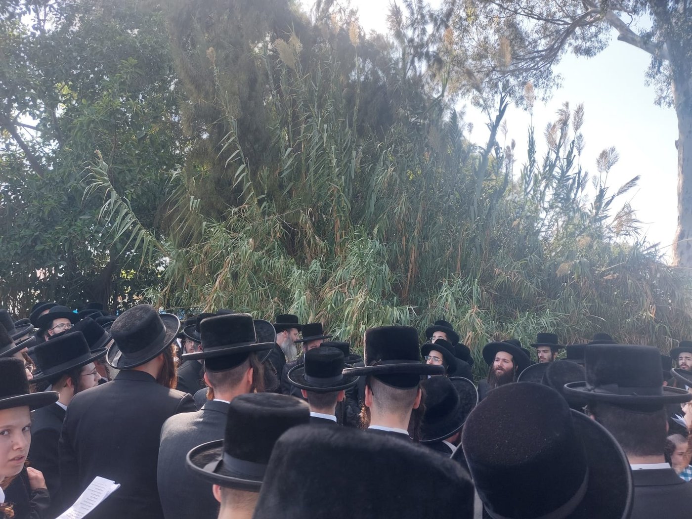 האדמו"ר מפרמישלן בתשליך