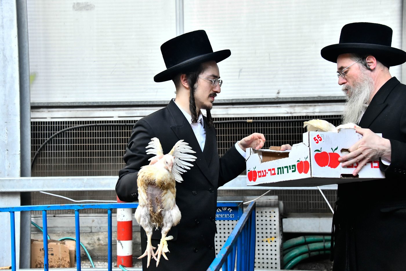מנהג כפרות בבני ברק 